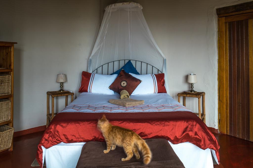 Port Saint Johnʼs Delicious Monster Accommodation מראה חיצוני תמונה